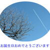1月にお誕生日を迎えられる方に