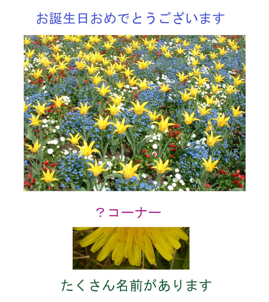 四月にお誕生日を迎えられる方に