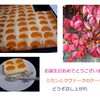 11月にお誕生日を迎えられる方へ