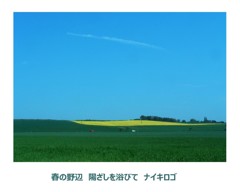 空晴れて