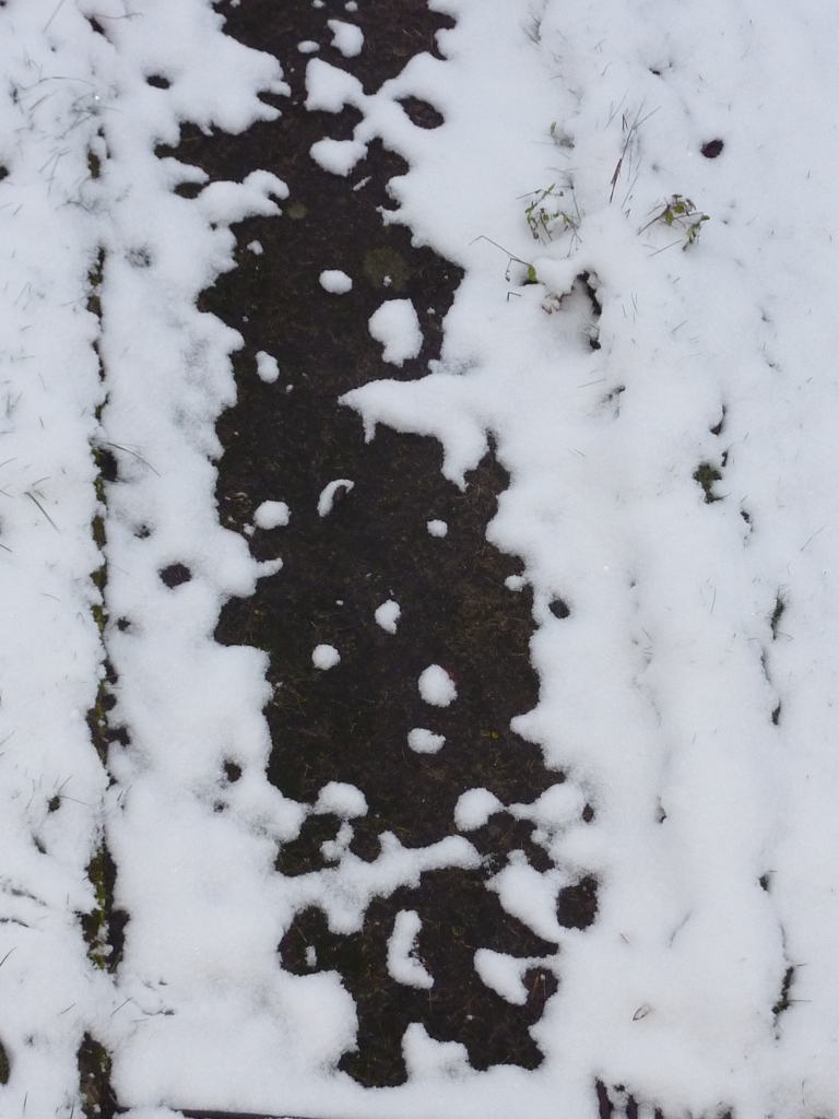 雪のなぞなぞ１