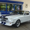 MUSTANG2