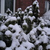 雪景色
