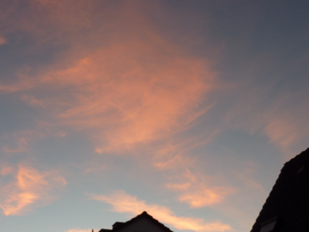 シャ、シャ、シャーの筆使い