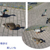 のんびりと