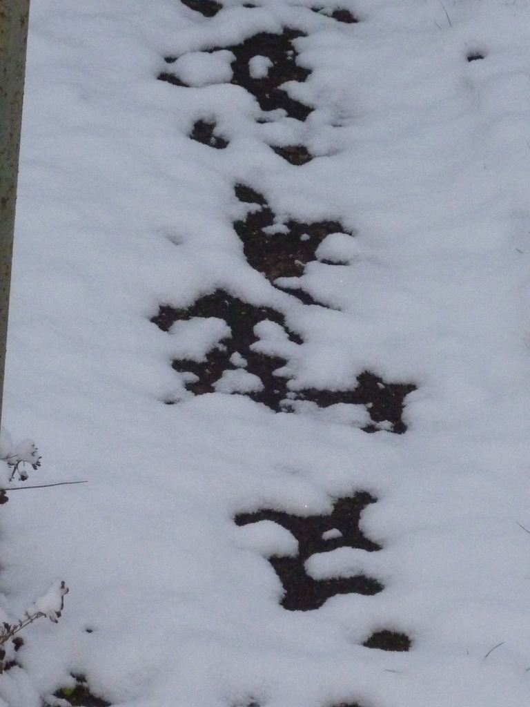 雪のなぞなぞ２