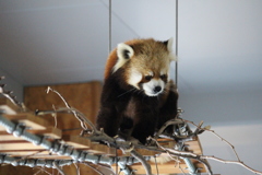 セイタくん④
