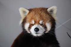 エイタくん②