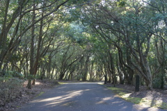 DSC07767