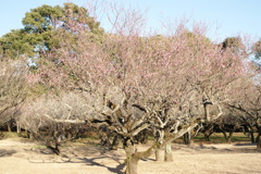 DSC07773