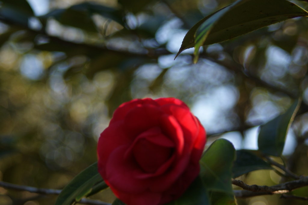 DSC07769