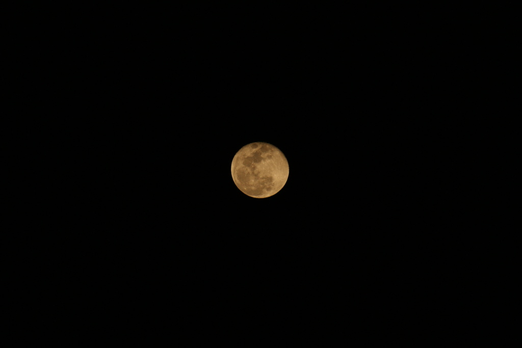 DSC07758