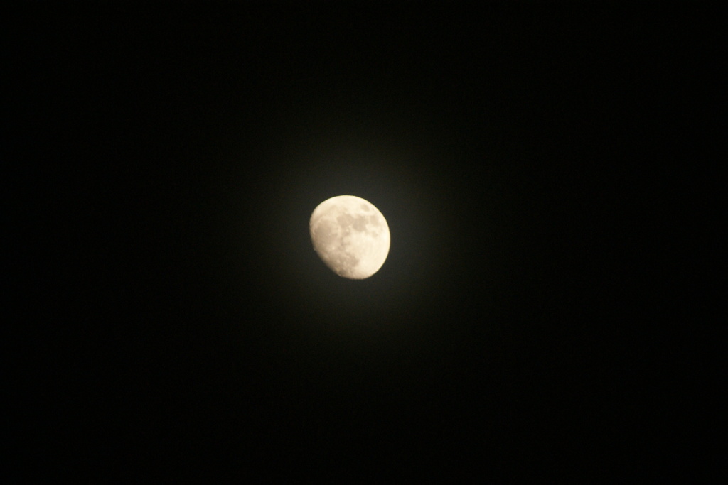DSC07731
