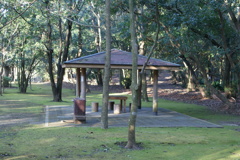 DSC07786