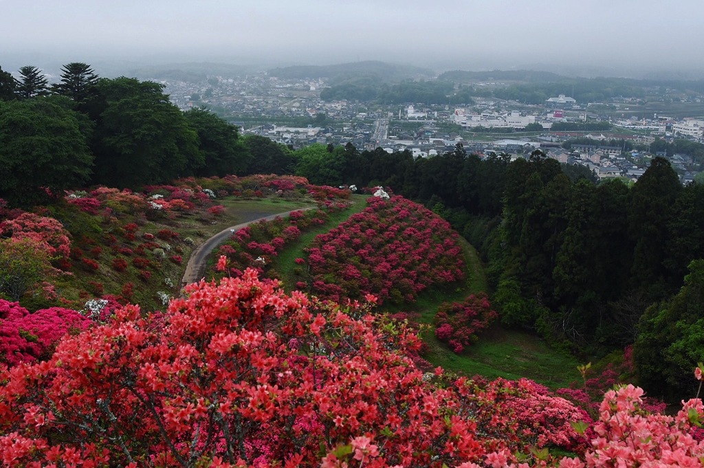 笠間つつじ公園