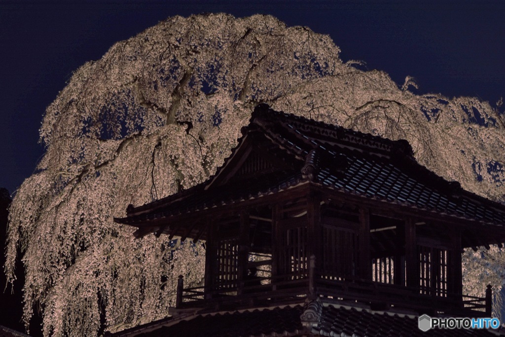 阿弥陀寺
