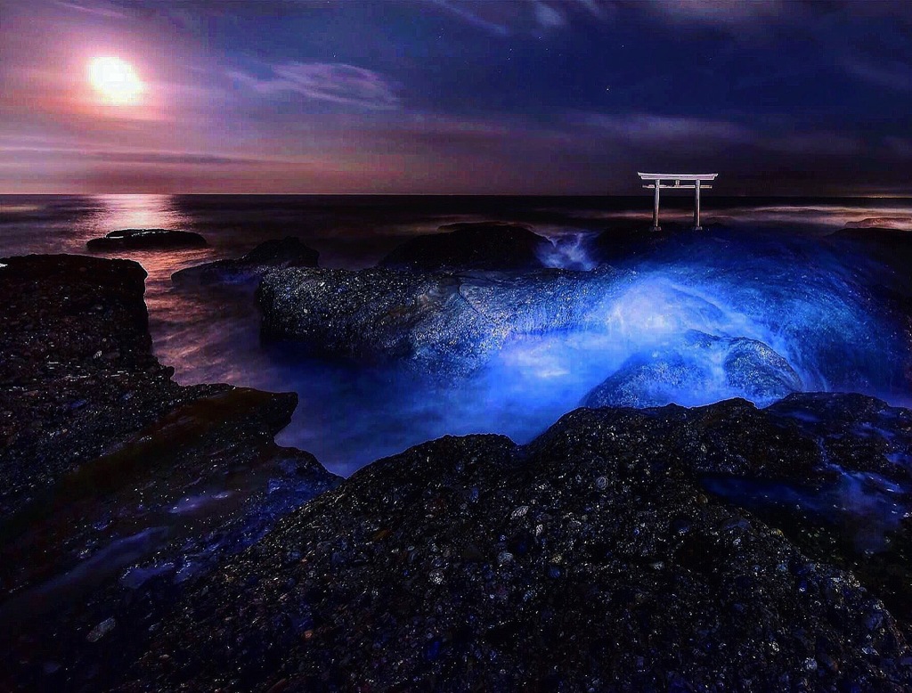 月夜の海 By 琥珀色 Id 写真共有サイト Photohito