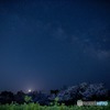 流れ星を見た夜
