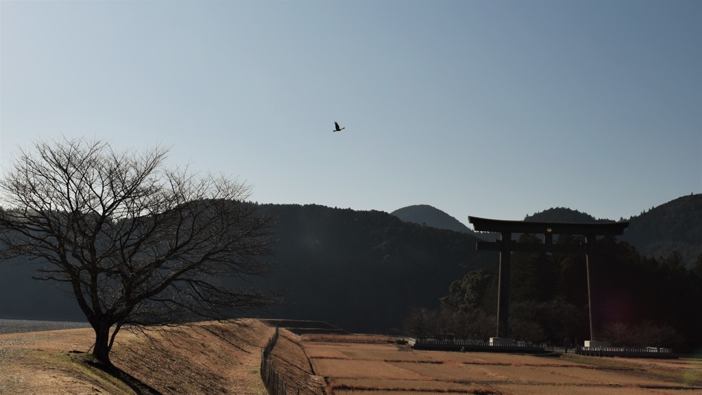 酉年