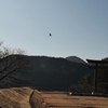 酉年