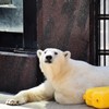 うだる
