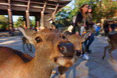 なによっ！！