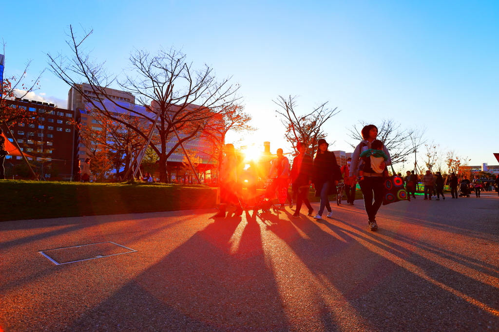CANON EF20mm F2.8 USM
