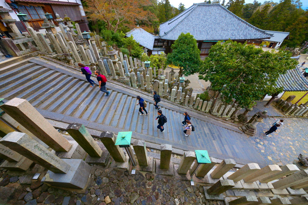 SIGMA 12-24mm F4.5-5.6 II DG HSM