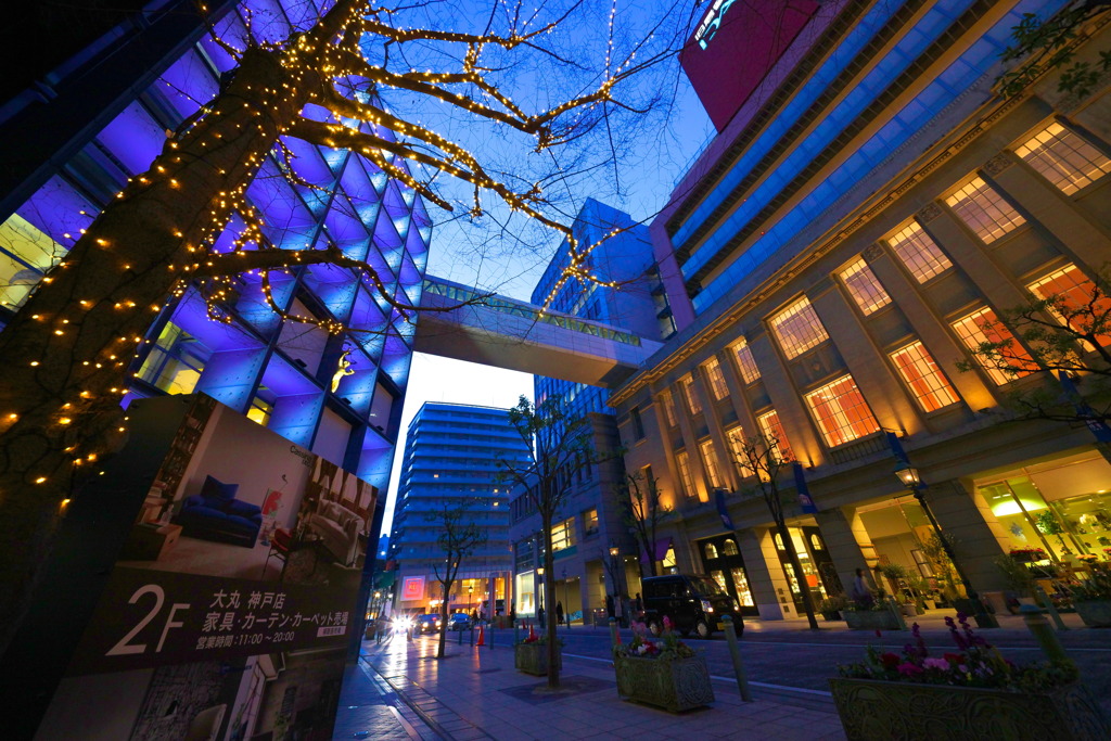 SIGMA 12-24mm F4.5-5.6 II DG HSM