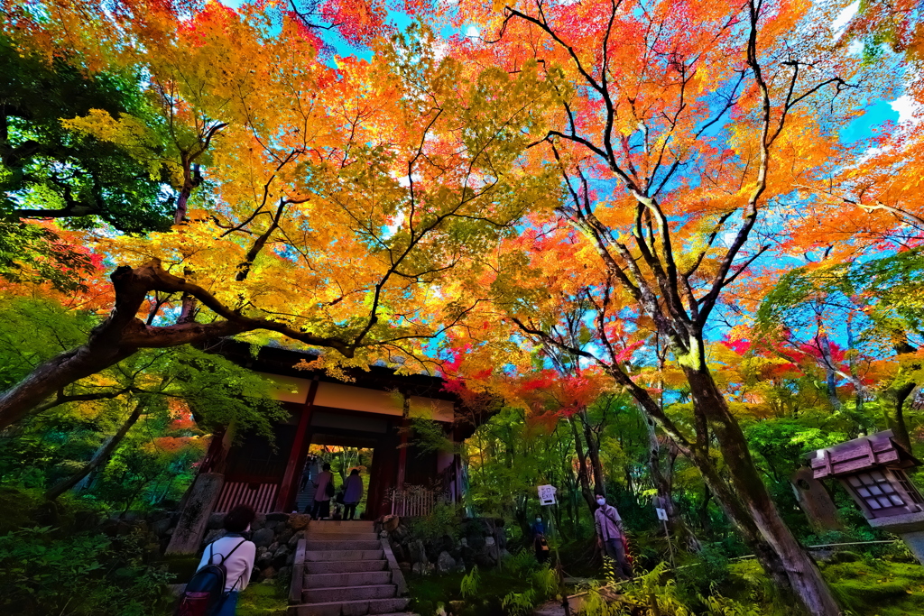 空一面の・・・