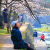 もの思い・・・さくらはまだか