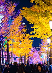 御堂筋イルミネーション 2