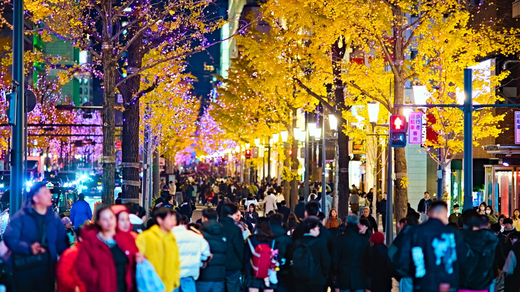 御堂筋イルミネーション 1