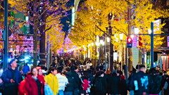 御堂筋イルミネーション 1