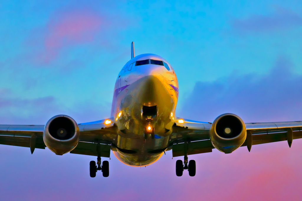 CANON EF100-400mm F4.5-5.6L IS II USM