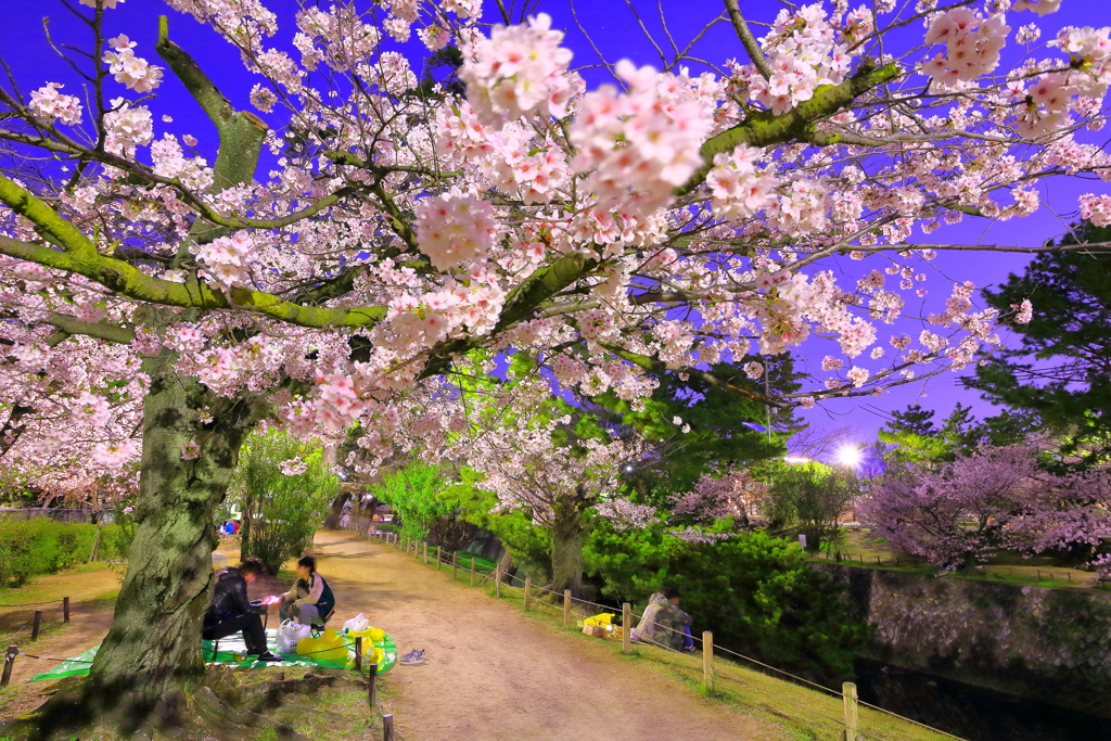CANON EF-S10-18mm F4.5-5.6 IS STM
