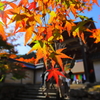 CANON EF14mm F2.8L II USM