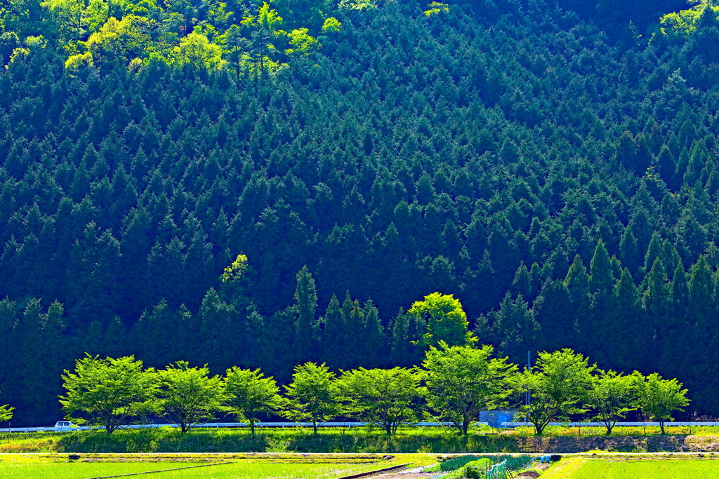 さ・と・や・ま