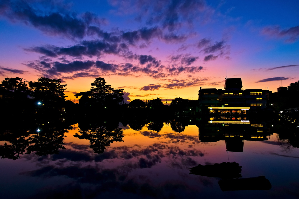 夢の中の夕焼けのよう・・・