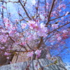 SIGMA 12-24mm F4.5-5.6 II DG HSM