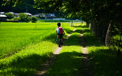 夏が来たで！、夏！