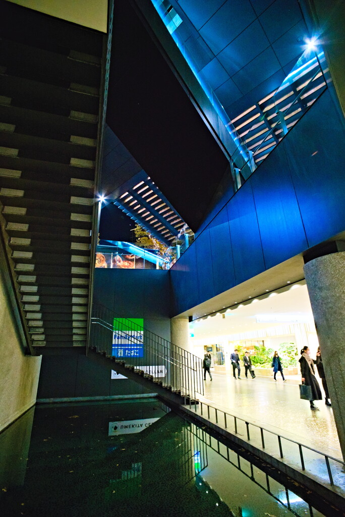 迷走する階段たち