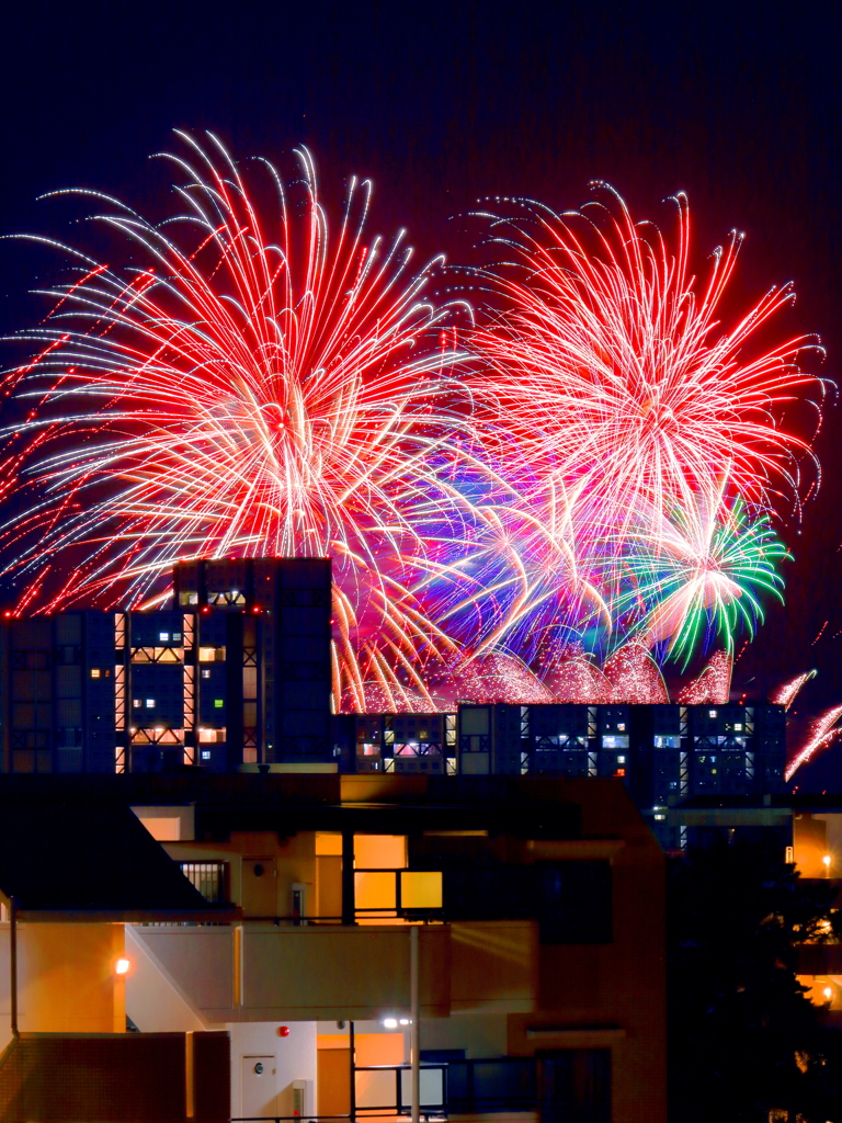 CANON EF-S55-250mm F4-5.6 IS STM