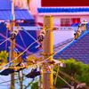 SIGMA APO 150-500mm F5-6.3 DG OS HSM