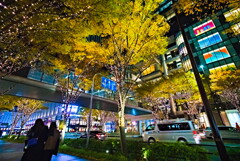 イルミネーションとライトアップのはじまり