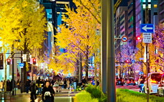 御堂筋イルミネーション 3