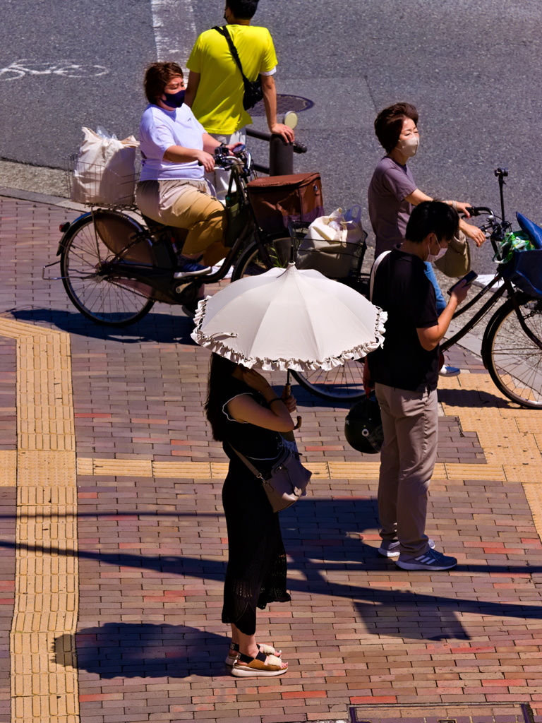 そろそろ日傘も・・・