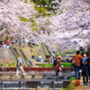 CANON EF-S55-250mm F4-5.6 IS STM
