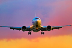 CANON EF100-400mm F4.5-5.6L IS II USM