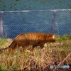 夕方、帰路に就く